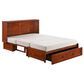 New Day Furniture Clover Murphy Cabinet Bed with Mattress in Cherry, , large
