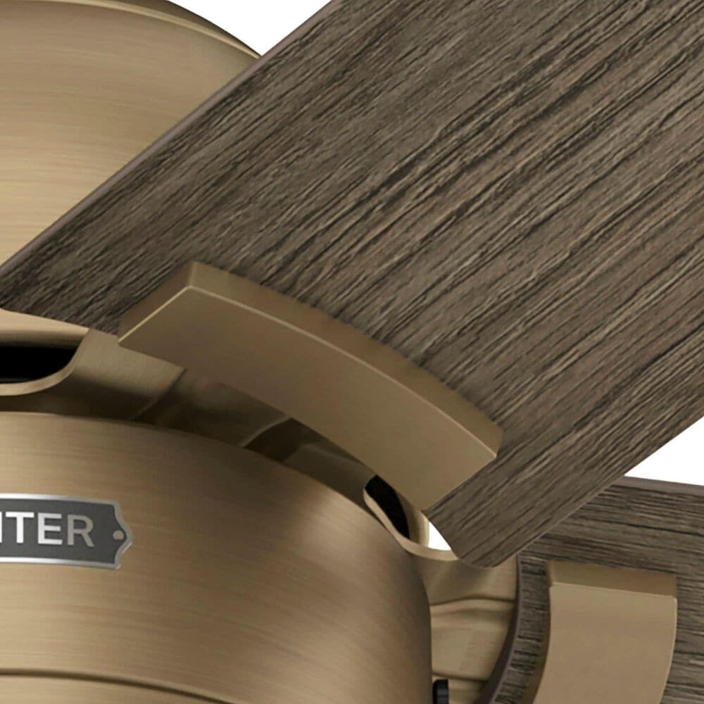 Hunter-Douglas Erling 52&quot; Ceiling Fan with LED Light in Burnished Brass, , large