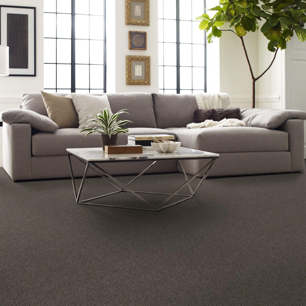 Shaw Live on Comfort Carpet in Woodcliff Brown, , large