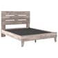 Ashley Neilsville Queen Panel Platform Bed in Whitewash, , large