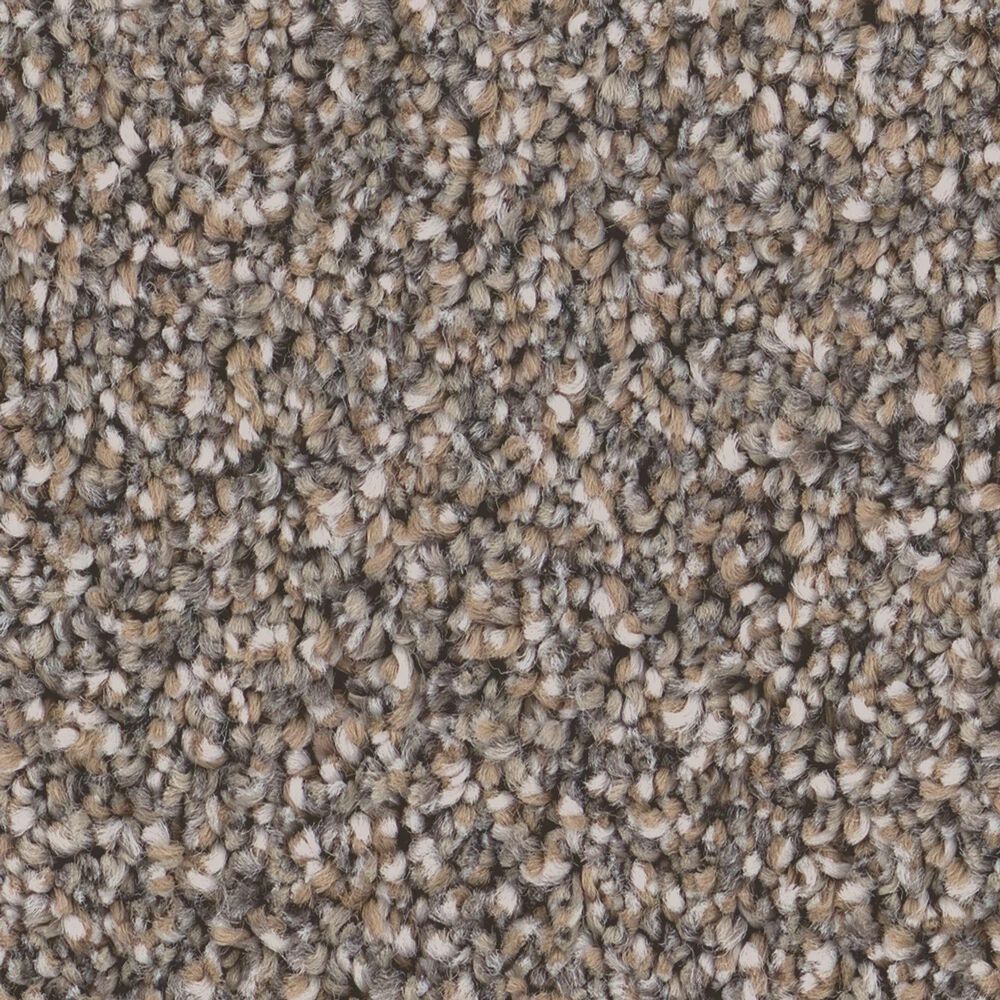Shaw Grand Influence III Carpet in Castle Rock, , large