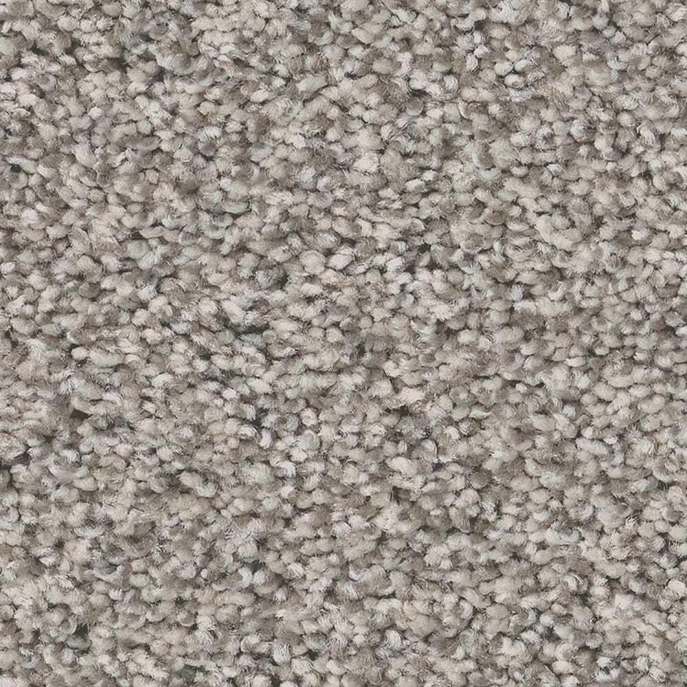 Anderson Tuftex Wyndham Estate Carpet in Moth Gray, , large