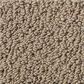 Shaw Detailed Statement Loop Carpet in Twig, , large