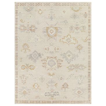 Surya Revere 10" x 14" Brown, Gray and Beige Area Rug, , large