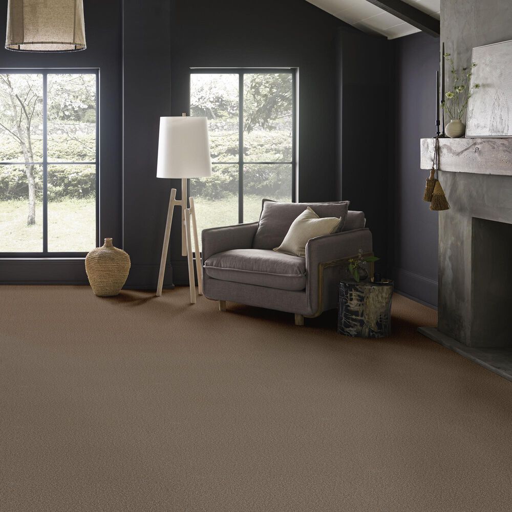 Anderson Tuftex Wyndham Estate Carpet in Smokehouse, , large