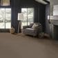 Anderson Tuftex Wyndham Estate Carpet in Smokehouse, , large