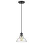 Golden Lighting Carver 1-Light Pendant with Clear Shade in Matte Black, , large