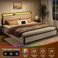 HOMLUX King 2-Drawer  Storage Bed with LED Headboard and USB Ports in Beige, , large