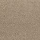 Mohawk Natural Confidence Carpet in Cape Cod, , large