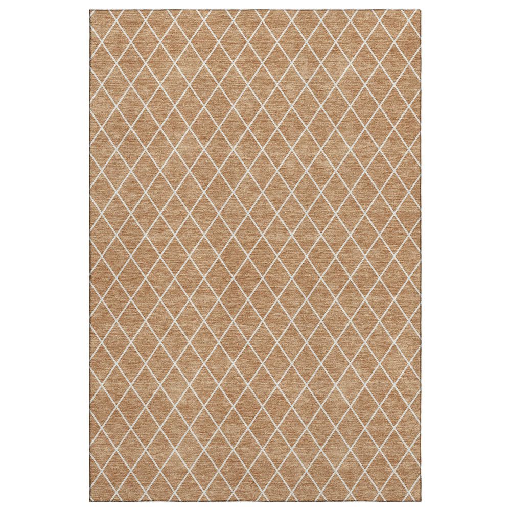 Dalyn Rug Company The Reserve TR15 Copper 3" x 5" Indoor/Outdoor Area Rug, , large