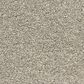 Dixie Home Natural Beauty Carpet in Dove, , large