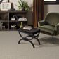 Anderson Tuftex Zion Carpet in Oyster, , large