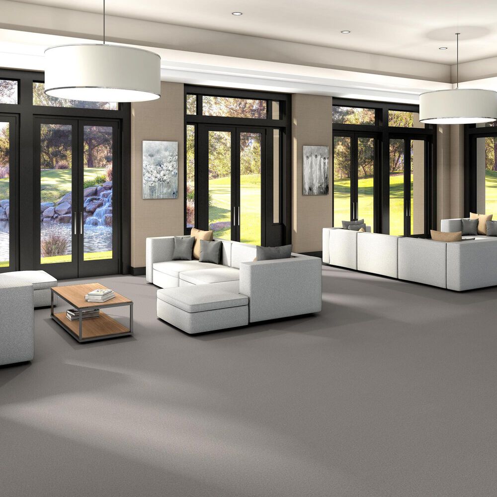 Shaw You Got This III Carpet in Frozen, , large