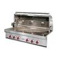 Wolf 54" Outdoor Liquid Propane Grill in Stainless Steel, , large