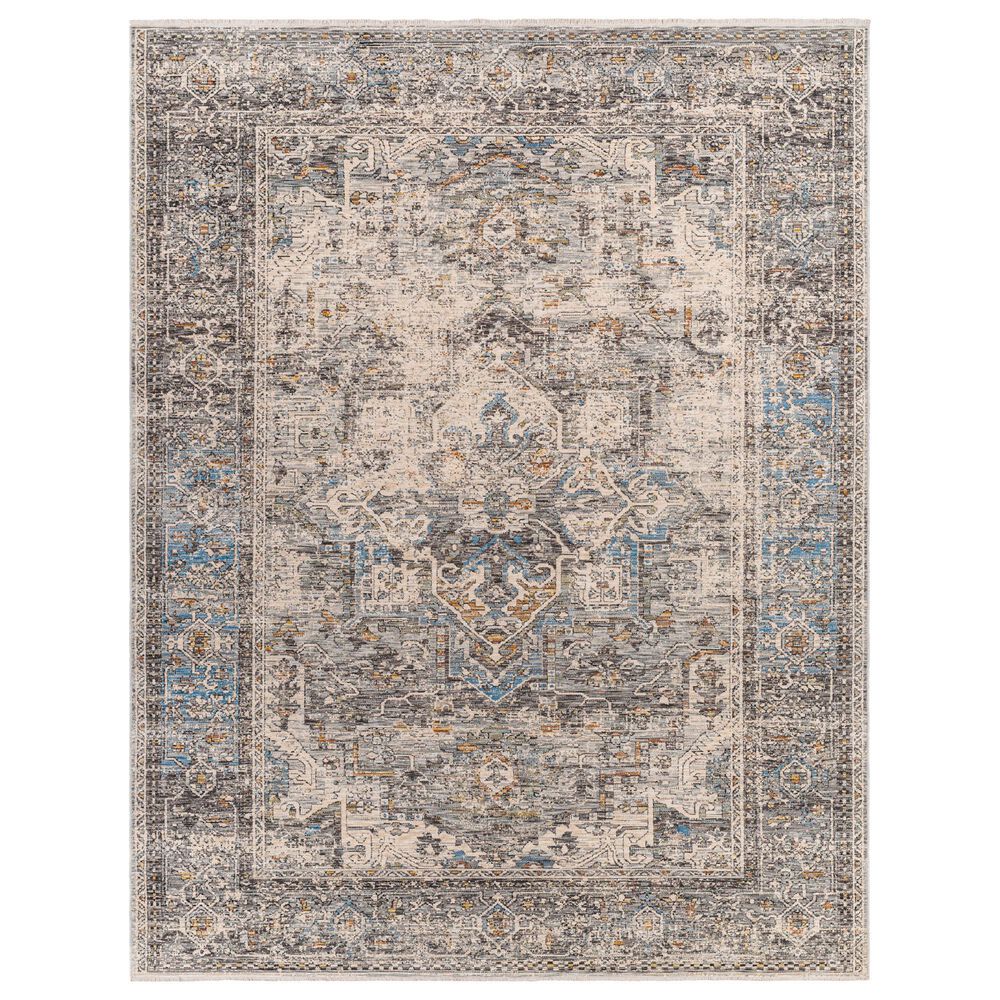 Surya Chicago CHG2312 11"11" x 15"7" Light Beige, Charcoal, Slate, Black, Blue, Taupe Area Rug, , large