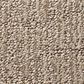 Anderson Tuftex Wanderer Carpet in Plains, , large