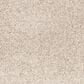 Mohawk Paw Pathway Carpet in Breeze, , large
