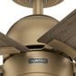 Hunter Erling 44" Ceiling Fan with LED Light in Burnished Brass, , large