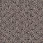 Shaw Austin Park Carpet in Rustic Vibe, , large