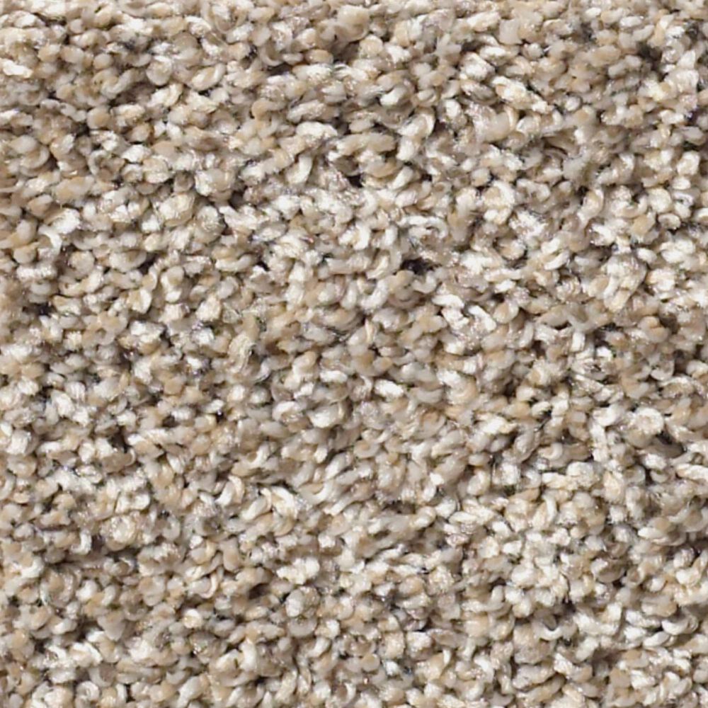 Shaw Simply the Best After It I Carpet in Neutral Ground, , large