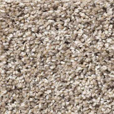 Shaw Simply the Best After It I Carpet in Neutral Ground, , large