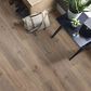 Shaw Paladin Plus 7" x 48" Vinyl Plank in Wild Dunes, , large