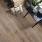 Shaw Paladin Plus 7" x 48" Vinyl Plank in Wild Dunes, , large