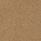 Shaw Acadia Park Carpet in Saddle, , large