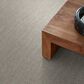 Anderson Tuftex Pose Carpet in Gentle Gray, , large