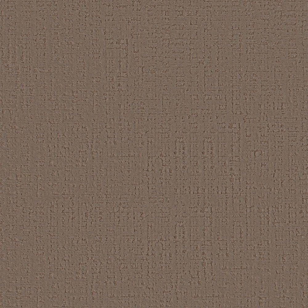 Anderson Tuftex Adair Carpet in Meet And Greet, , large