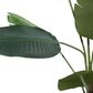 Maple and Jade 70" Artificial Strelitziaceae Tree in Green, , large