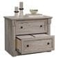 Sauder Palladia 2-Drawer Lateral File Cabinet in Split Oak, , large