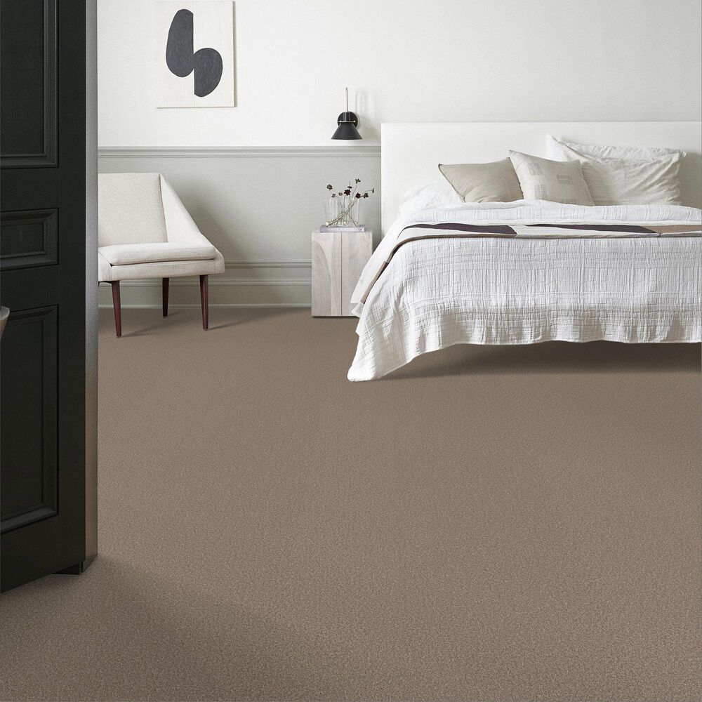 Shaw Imaginable II Carpet in Clay, , large