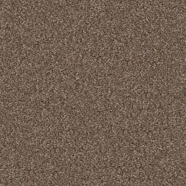 Shaw Yes You Can II Carpet in Worn Path, , large