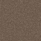 Shaw Yes You Can II Carpet in Worn Path, , large