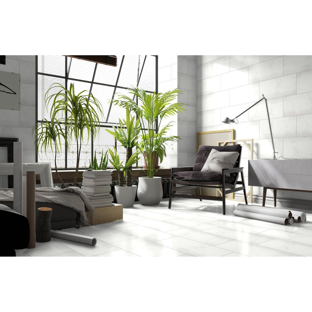Emser Sterlina White 12&quot; x 24&quot; Polished Porcelain Tile, , large