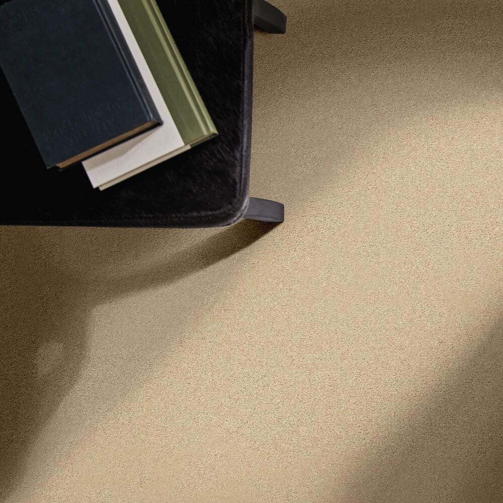 Anderson Tuftex Finery Carpet in Toasted Almond, , large