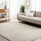 Surya Masterpiece MPC-2315 Medium Gray, Light Gray and Cream 12" x 15" Area Rug, , large