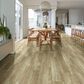 Shaw Tenacious HD Plus Accent Olive Branch 7" x 48" Luxury Vinyl Plank, , large