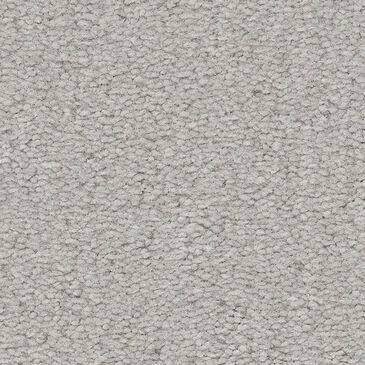 Anderson Tuftex Finery Carpet in Feather Bed, , large