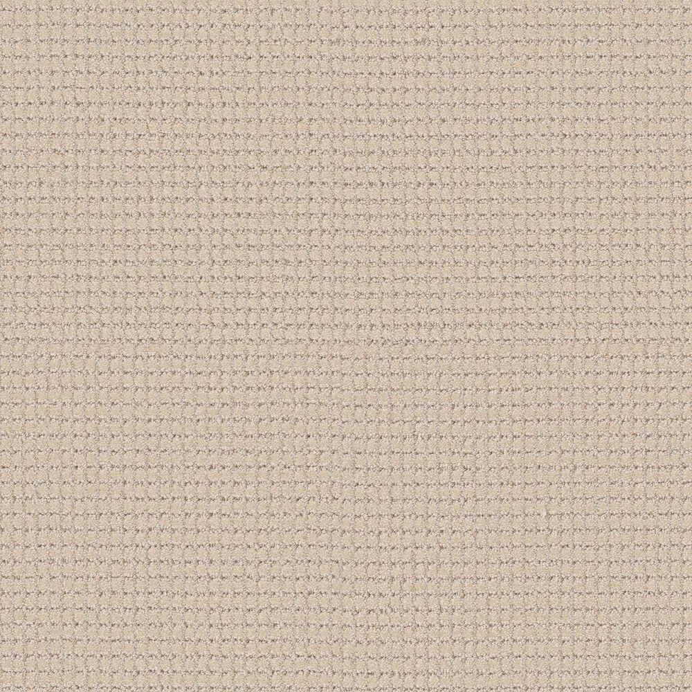 Anderson Tuftex Rhode Carpet in French Buff, , large