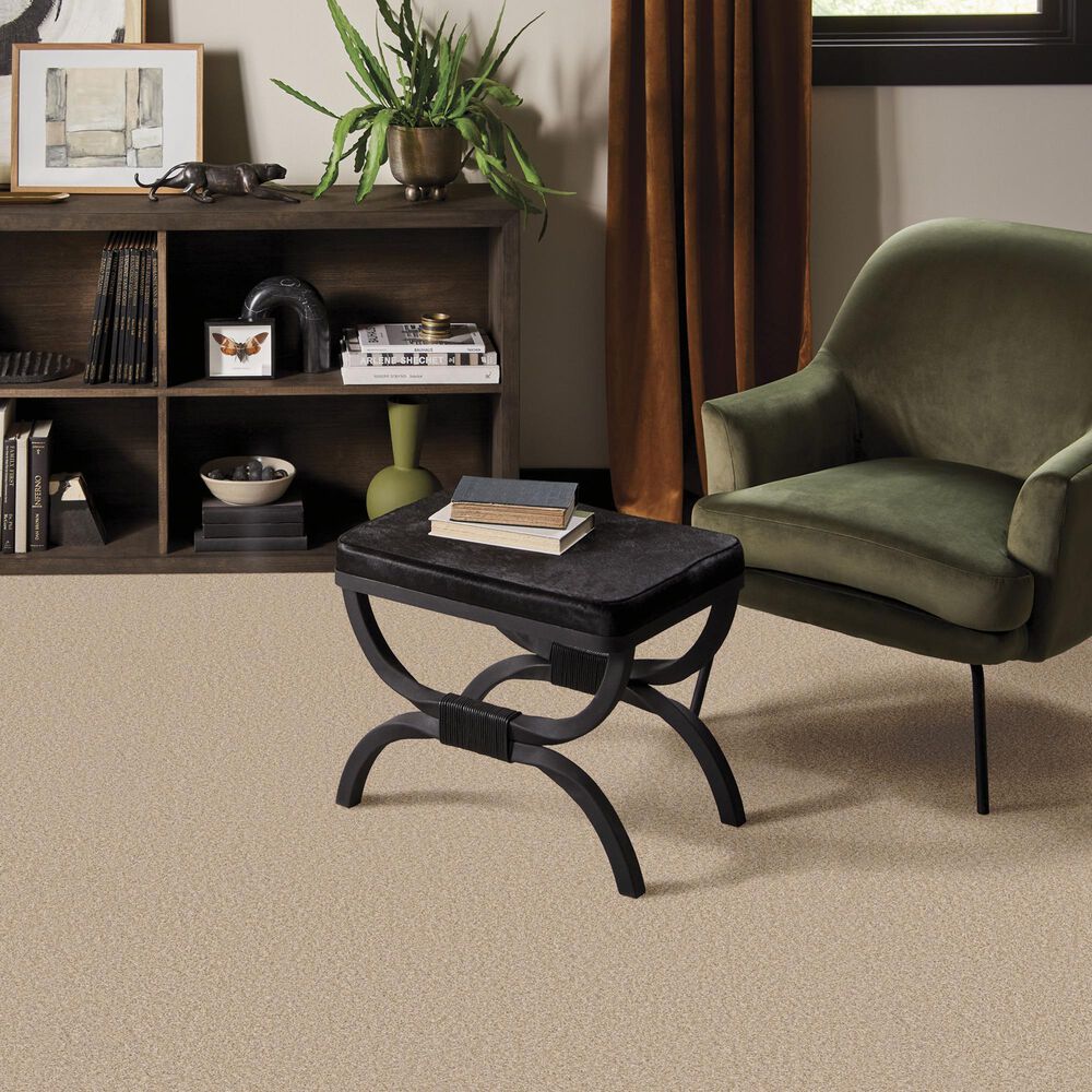 Anderson Tuftex Wyndham Estate Carpet in Down Home, , large