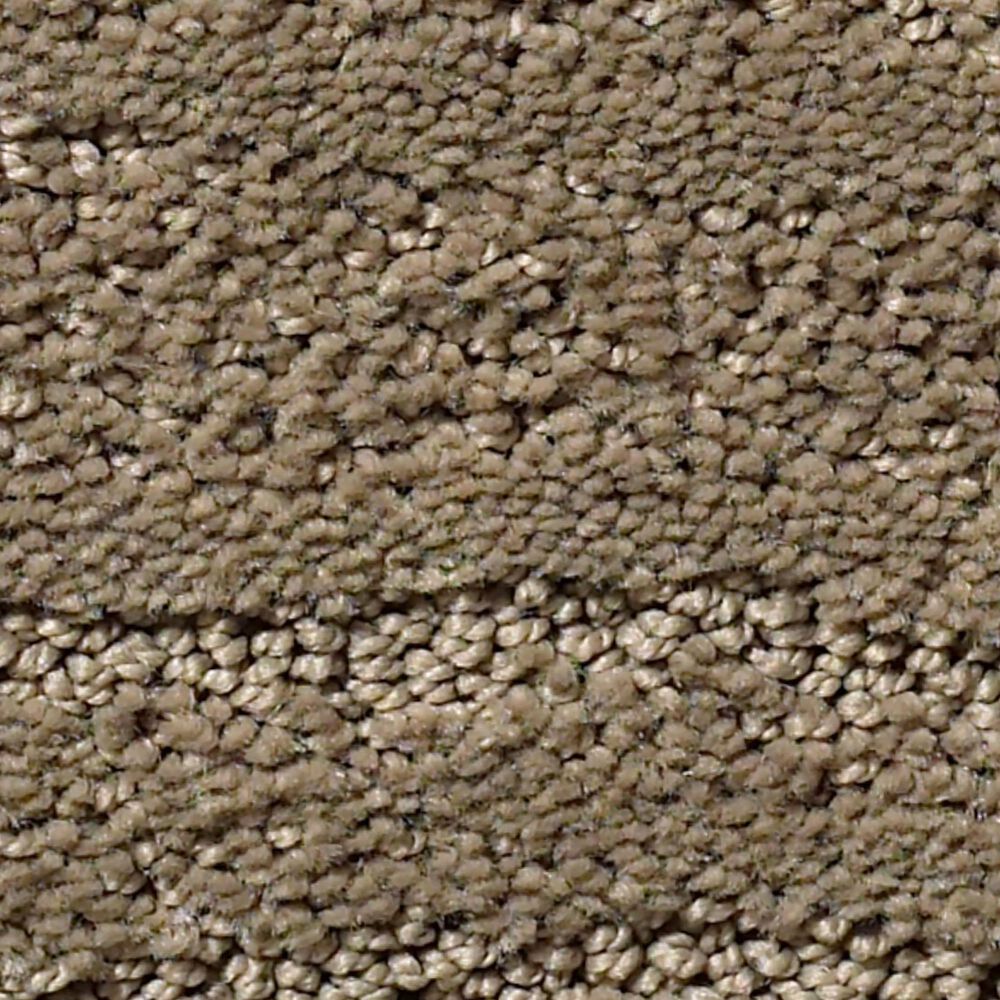 Anderson Tuftex Pose Carpet in Rockport, , large