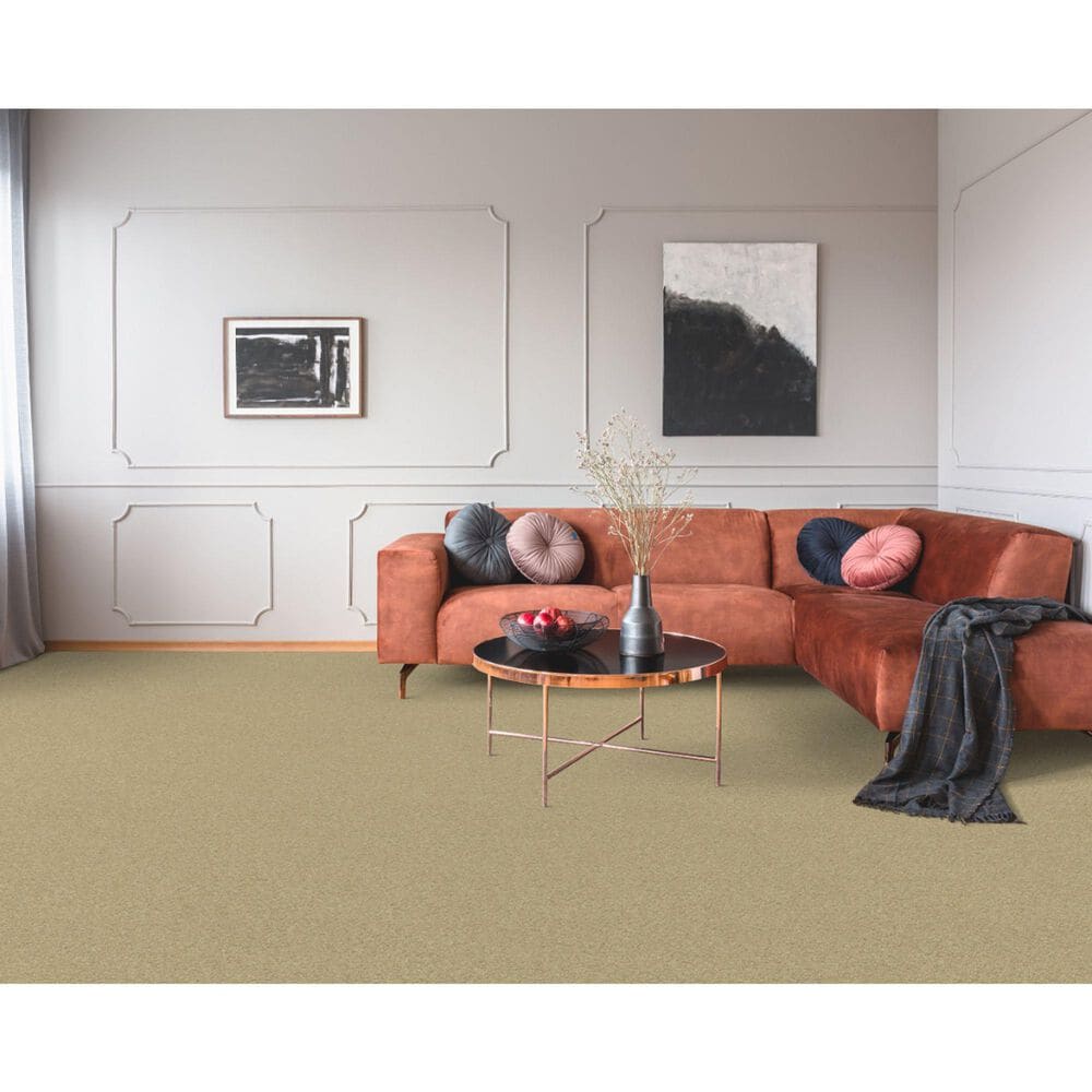 Dixie Home Simplicity Carpet in Driftwood, , large