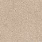 Dixie Home Bella Carpet in Corgi, , large