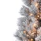The Gerson Company 9" Pre-Lit Boise Pine Christmas Tree in Green, , large