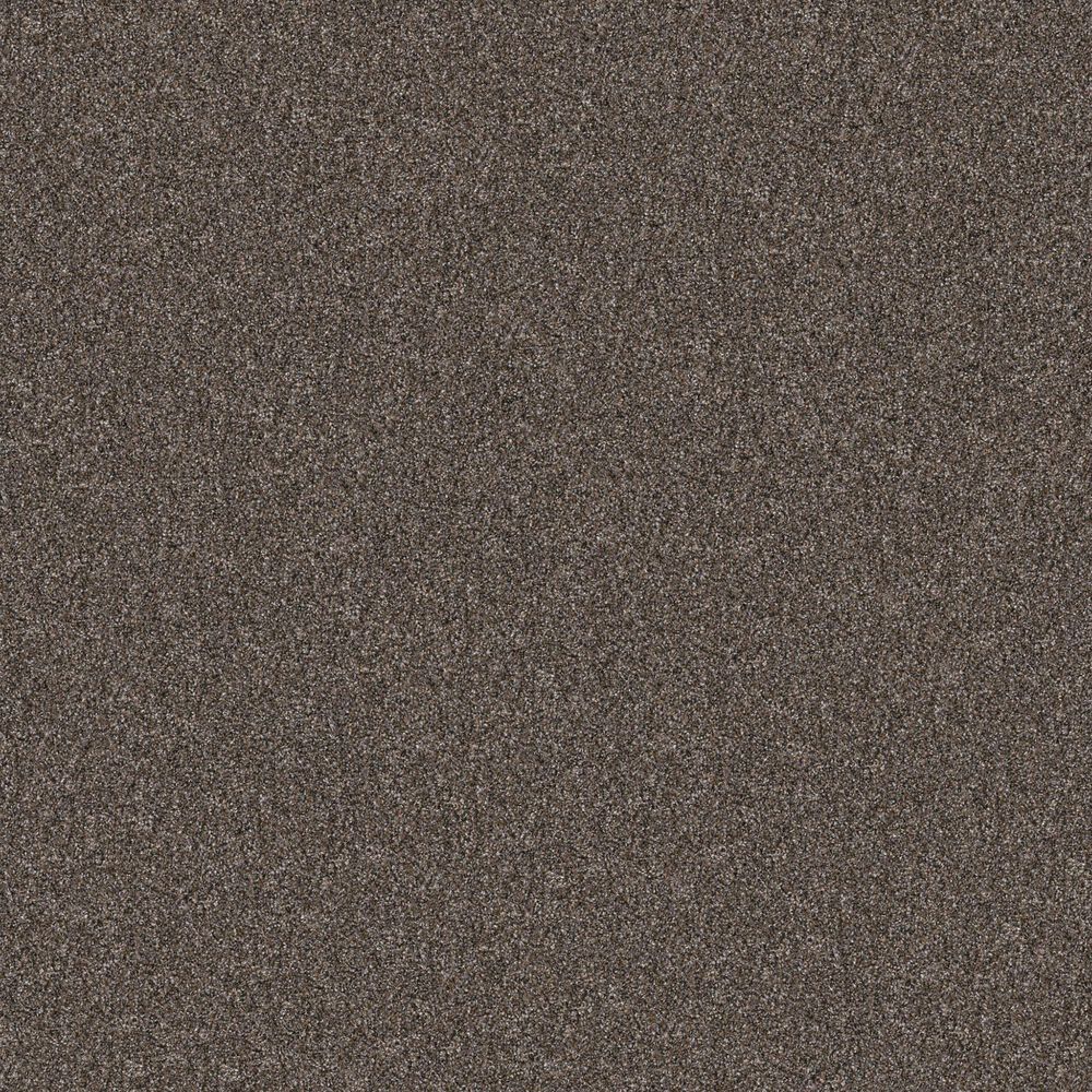 Shaw Yes You Can II Carpet in Cafe Noir, , large