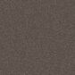 Shaw Yes You Can II Carpet in Cafe Noir, , large