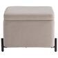 Lifestyle Solutions Kona Small Storage Ottoman in Taupe, , large