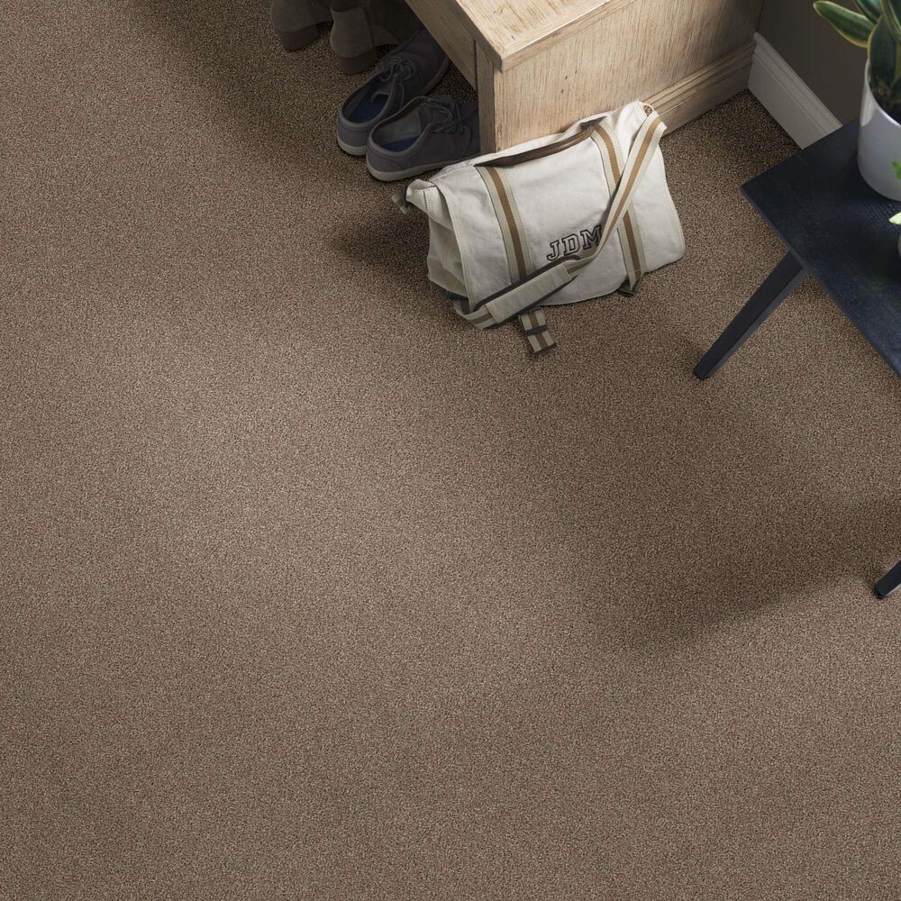 Anderson Tuftex Caress Cozy Harbor I Carpet in Tumbleweed, , large